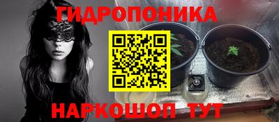 дурь Кимры
