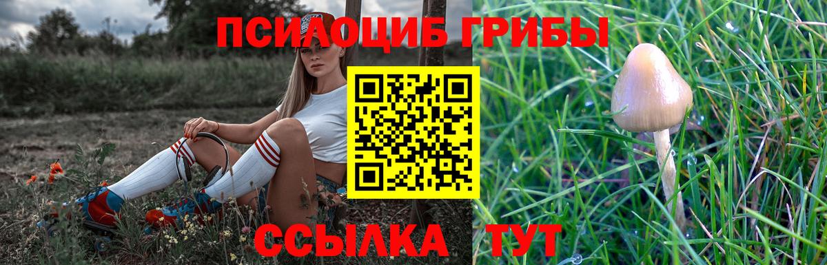 Псилоцибиновые грибы мухоморы  Вход с VPN  Красноармейск 
